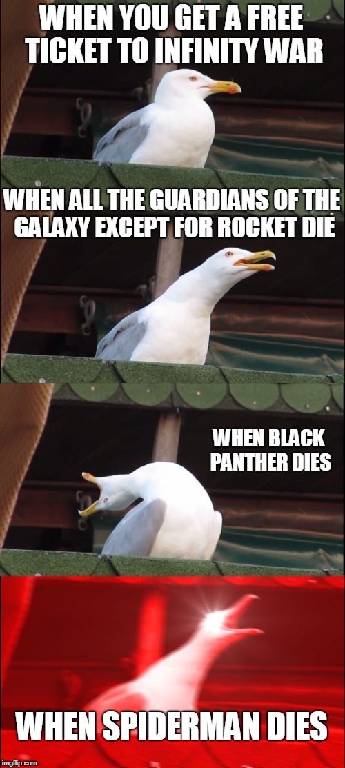 How I felt in the theater | WHEN YOU GET A FREE TICKET TO INFINITY WAR; WHEN ALL THE GUARDIANS OF THE GALAXY EXCEPT FOR ROCKET DIE; WHEN BLACK PANTHER DIES; WHEN SPIDERMAN DIES | image tagged in memes,inhaling seagull,avengers infinity war,black panther,guardians of the galaxy,spiderman | made w/ Imgflip meme maker