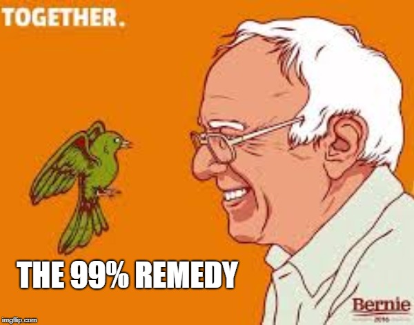 The Sanders Agenda | THE 99% REMEDY | image tagged in bernie sanders,progressive,populist | made w/ Imgflip meme maker