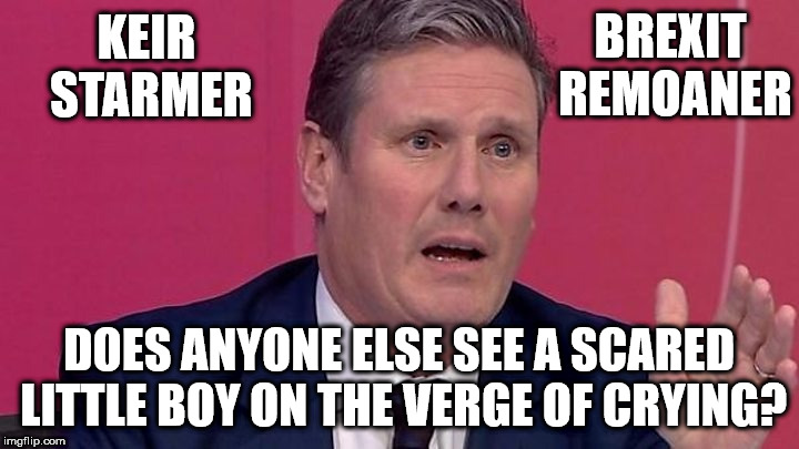 Keir Starmer - Chief Brexit remoaner? | BREXIT REMOANER; KEIR STARMER; DOES ANYONE ELSE SEE A SCARED LITTLE BOY ON THE VERGE OF CRYING? | image tagged in keir starmer,brexit,corbyn eww,labour party,communist socialist,funny | made w/ Imgflip meme maker
