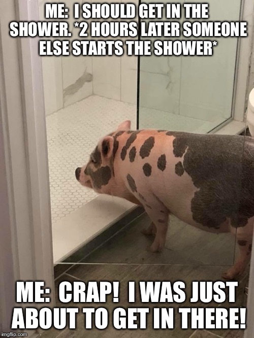 Shower oig | ME:  I SHOULD GET IN THE SHOWER. *2 HOURS LATER SOMEONE ELSE STARTS THE SHOWER*; ME:  CRAP!  I WAS JUST ABOUT TO GET IN THERE! | image tagged in kim | made w/ Imgflip meme maker