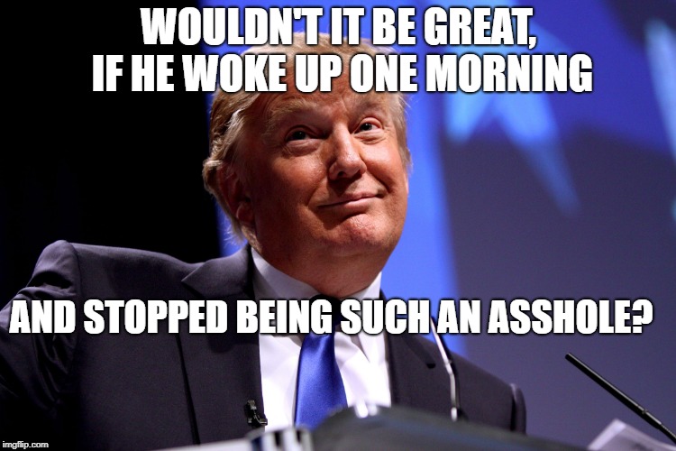 Donald Trump | WOULDN'T IT BE GREAT, IF HE WOKE UP ONE MORNING; AND STOPPED BEING SUCH AN ASSHOLE? | image tagged in donald trump | made w/ Imgflip meme maker