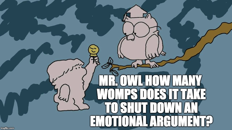 Mr Owl | MR. OWL HOW MANY WOMPS DOES IT TAKE TO SHUT DOWN AN EMOTIONAL ARGUMENT? | image tagged in mr owl | made w/ Imgflip meme maker