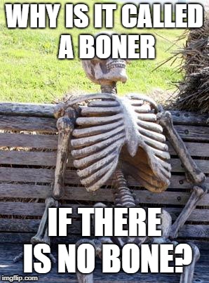 Waiting Skeleton Meme | WHY IS IT CALLED A BONER; IF THERE IS NO BONE? | image tagged in memes,waiting skeleton | made w/ Imgflip meme maker