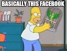 Homer rattling a cage | BASICALLY THIS FACEBOOK | image tagged in homer rattling a cage,simpsons,homer simpson,troll,social justice warrior | made w/ Imgflip meme maker