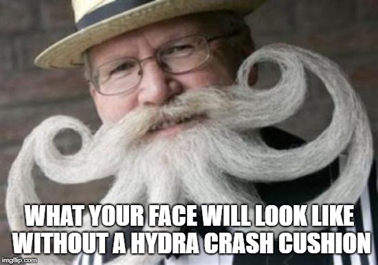 WHAT YOUR FACE WILL LOOK LIKE WITHOUT A HYDRA CRASH CUSHION | image tagged in dandy hydra | made w/ Imgflip meme maker