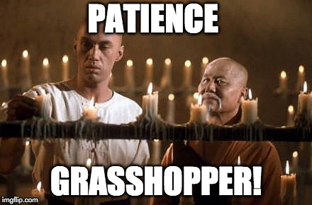 kung fu grasshopper | PATIENCE; GRASSHOPPER! | image tagged in kung fu grasshopper | made w/ Imgflip meme maker