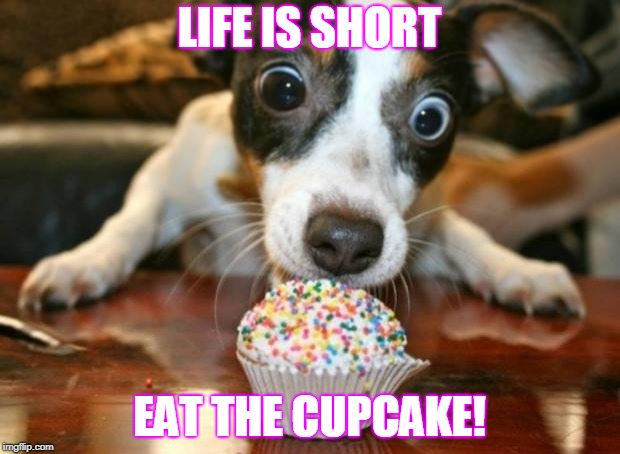 Cupcake Dog | LIFE IS SHORT; EAT THE CUPCAKE! | image tagged in cupcake dog | made w/ Imgflip meme maker