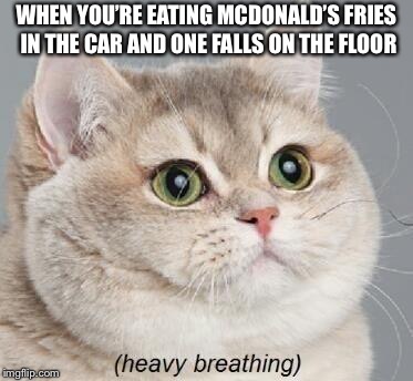Heavy Breathing Cat Meme | WHEN YOU’RE EATING MCDONALD’S FRIES IN THE CAR AND ONE FALLS ON THE FLOOR | image tagged in memes,heavy breathing cat | made w/ Imgflip meme maker