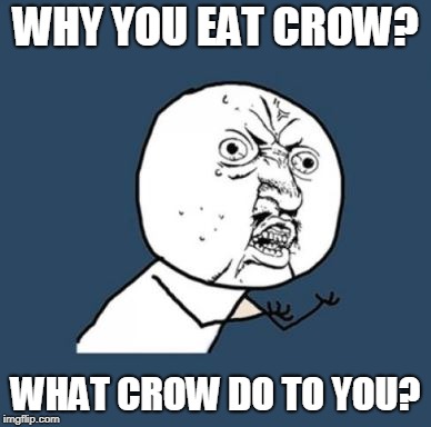 why you no guy |  WHY YOU EAT CROW? WHAT CROW DO TO YOU? | image tagged in why you no guy | made w/ Imgflip meme maker