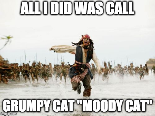 Jack Sparrow Being Chased | ALL I DID WAS CALL; GRUMPY CAT "MOODY CAT" | image tagged in memes,jack sparrow being chased | made w/ Imgflip meme maker