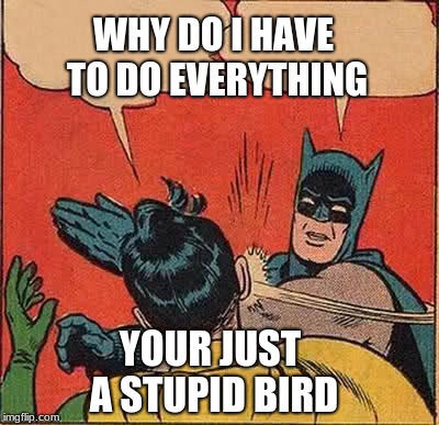 Batman Slapping Robin | WHY DO I HAVE TO DO EVERYTHING; YOUR JUST A STUPID BIRD | image tagged in memes,batman slapping robin | made w/ Imgflip meme maker