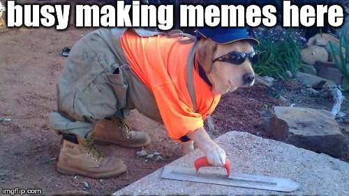 busy making memes here | made w/ Imgflip meme maker