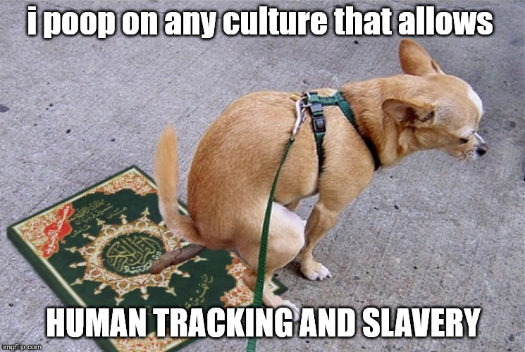 i poop on any culture that allows; HUMAN TRACKING AND SLAVERY | made w/ Imgflip meme maker