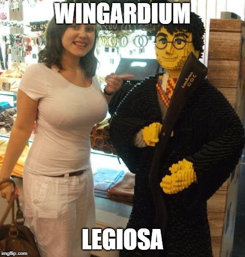 LEGIOSA - HARRY POTTER LEGO |  WINGARDIUM; LEGIOSA | image tagged in harry lego,wingardium leviosa,lego,harry potter | made w/ Imgflip meme maker