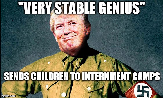 very stable genius | "VERY STABLE GENIUS"; SENDS CHILDREN TO INTERNMENT CAMPS | image tagged in meme,political meme,trump,immigration | made w/ Imgflip meme maker