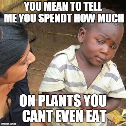 Third World Skeptical Kid Meme | YOU MEAN TO TELL ME YOU SPENDT HOW MUCH; ON PLANTS YOU CANT EVEN EAT | image tagged in memes,third world skeptical kid | made w/ Imgflip meme maker