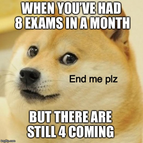 Doge Meme | WHEN YOU’VE HAD 8 EXAMS IN A MONTH; End me plz; BUT THERE ARE STILL 4 COMING | image tagged in memes,doge | made w/ Imgflip meme maker