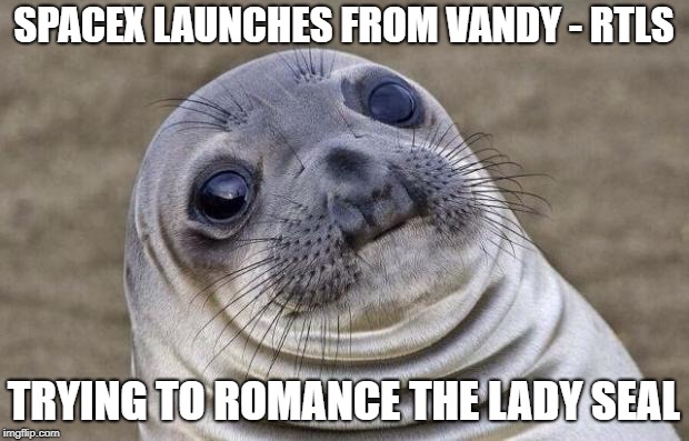 Awkward Moment Sealion Meme | SPACEX LAUNCHES FROM VANDY - RTLS; TRYING TO ROMANCE THE LADY SEAL | image tagged in memes,awkward moment sealion | made w/ Imgflip meme maker