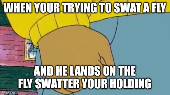 Arthur Fist Meme | WHEN YOUR TRYING TO SWAT A FLY; AND HE LANDS ON THE FLY SWATTER YOUR HOLDING | image tagged in memes,arthur fist | made w/ Imgflip meme maker