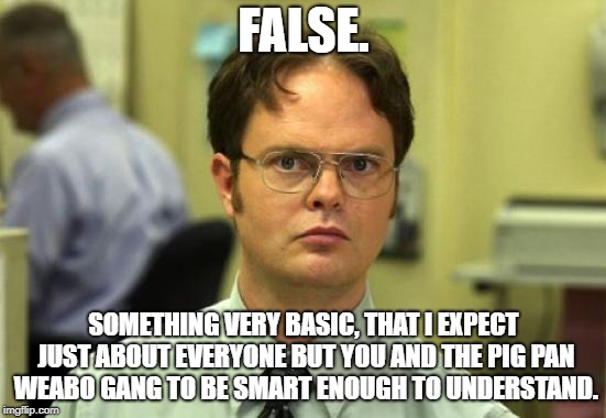 Dwight Schrute Meme | FALSE. SOMETHING VERY BASIC, THAT I EXPECT JUST ABOUT EVERYONE BUT YOU AND THE PIG PAN WEABO GANG TO BE SMART ENOUGH TO UNDERSTAND. | image tagged in memes,dwight schrute | made w/ Imgflip meme maker