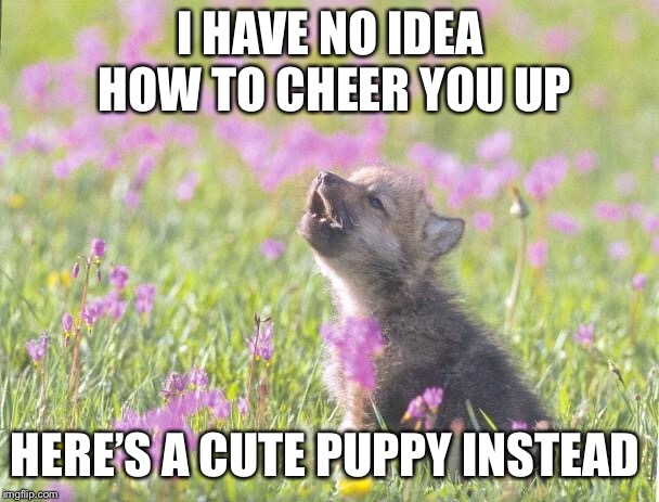 Baby Insanity Wolf Meme | I HAVE NO IDEA HOW TO CHEER YOU UP; HERE’S A CUTE PUPPY INSTEAD | image tagged in memes,baby insanity wolf | made w/ Imgflip meme maker