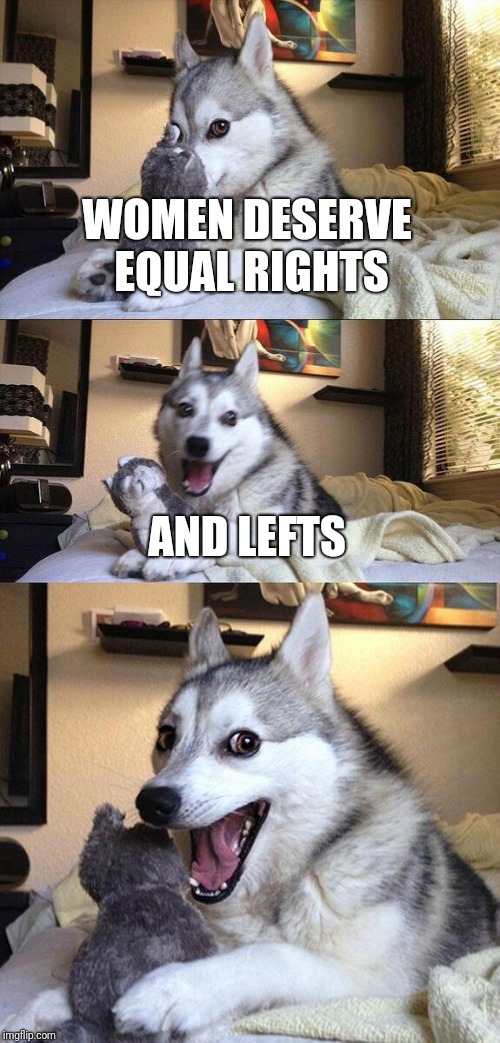 Bad Pun Dog Meme | WOMEN DESERVE EQUAL RIGHTS; AND LEFTS | image tagged in memes,bad pun dog | made w/ Imgflip meme maker
