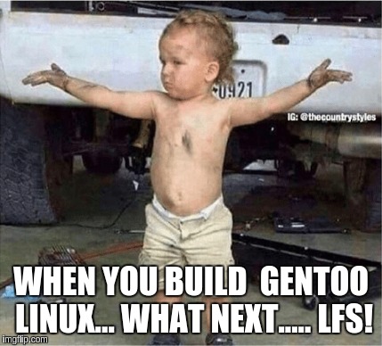 WHEN YOU BUILD  GENTOO LINUX... WHAT NEXT..... LFS! | image tagged in build linux | made w/ Imgflip meme maker