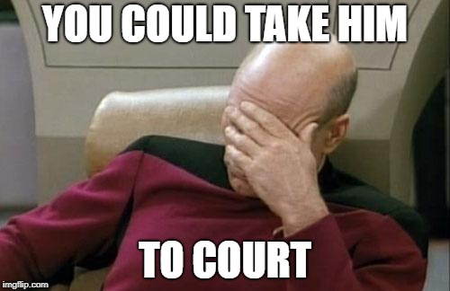 Captain Picard Facepalm Meme | YOU COULD TAKE HIM TO COURT | image tagged in memes,captain picard facepalm | made w/ Imgflip meme maker