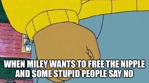 Arthur Fist Meme | WHEN MILEY WANTS TO FREE THE NIPPLE AND SOME STUPID PEOPLE SAY NO | image tagged in memes,arthur fist | made w/ Imgflip meme maker