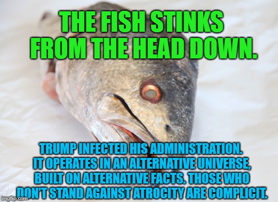 The Fish Stinks from the head down | THE FISH STINKS FROM THE HEAD DOWN. TRUMP INFECTED HIS ADMINISTRATION. IT OPERATES IN AN ALTERNATIVE UNIVERSE, BUILT ON ALTERNATIVE FACTS. THOSE WHO DON’T STAND AGAINST ATROCITY ARE COMPLICIT. | image tagged in trump,republicans | made w/ Imgflip meme maker