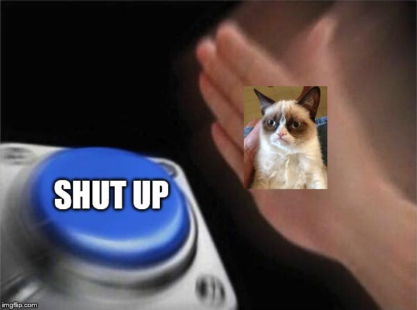 Blank Nut Button Meme | SHUT UP | image tagged in memes,blank nut button | made w/ Imgflip meme maker