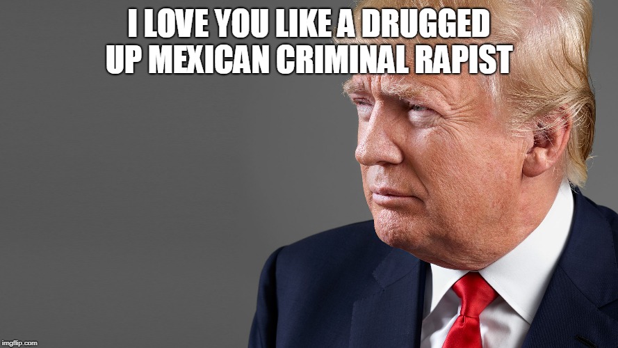 President Trump | I LOVE YOU LIKE A DRUGGED UP MEXICAN CRIMINAL RAPIST | image tagged in president trump | made w/ Imgflip meme maker