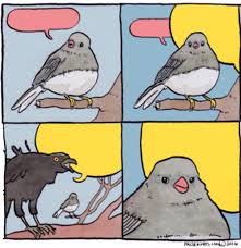 High Quality Annoyed Bird Blank Meme Template