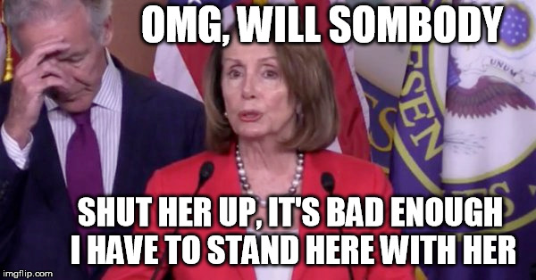 OMG, WILL SOMBODY; SHUT HER UP, IT'S BAD ENOUGH I HAVE TO STAND HERE WITH HER | image tagged in pelosi | made w/ Imgflip meme maker