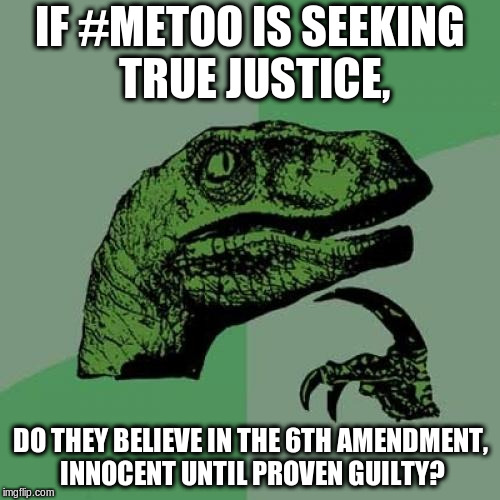 Philosoraptor Meme | IF #METOO IS SEEKING TRUE JUSTICE, DO THEY BELIEVE IN THE 6TH AMENDMENT, INNOCENT UNTIL PROVEN GUILTY? | image tagged in memes,philosoraptor | made w/ Imgflip meme maker