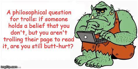The Troll Philosopher | A philosophical question for trolls: if someone holds a belief that you don't, but you aren't trolling their page to read it, are you still butt-hurt? | image tagged in trolls,internet,social media | made w/ Imgflip meme maker