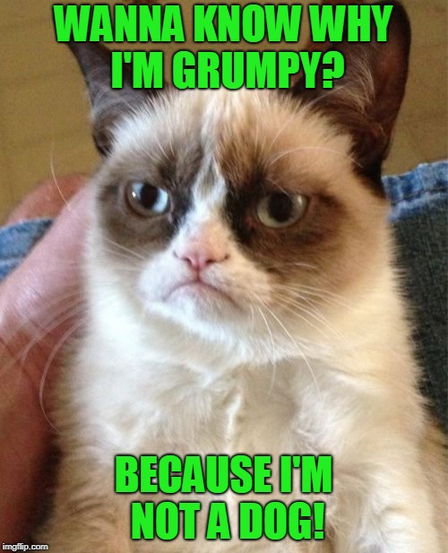 Dogs Rule! Cats Suck. | WANNA KNOW WHY I'M GRUMPY? BECAUSE I'M NOT A DOG! | image tagged in memes,grumpy cat,funny,truth,mxm | made w/ Imgflip meme maker