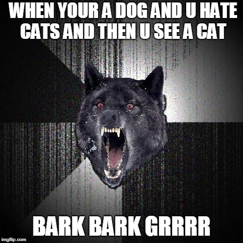 Insanity Wolf | WHEN YOUR A DOG AND U HATE CATS AND THEN U SEE A CAT; BARK BARK GRRRR | image tagged in memes,insanity wolf | made w/ Imgflip meme maker