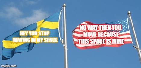 Swedish and American flags fighting | NO WAY THEN YOU MOVE BECAUSE THIS SPACE IS MINE; HEY YOU STOP WAVING IN MY SPACE | image tagged in argument,funny | made w/ Imgflip meme maker