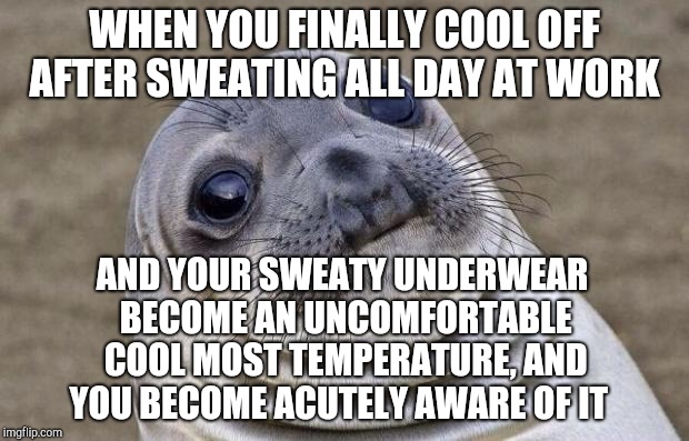 It's that time of year when imma have to start bringing a fresh pair of briefs to work each day...I got the crotch sweats lol  | WHEN YOU FINALLY COOL OFF AFTER SWEATING ALL DAY AT WORK; AND YOUR SWEATY UNDERWEAR BECOME AN UNCOMFORTABLE COOL MOST TEMPERATURE, AND YOU BECOME ACUTELY AWARE OF IT | image tagged in memes,awkward moment sealion | made w/ Imgflip meme maker