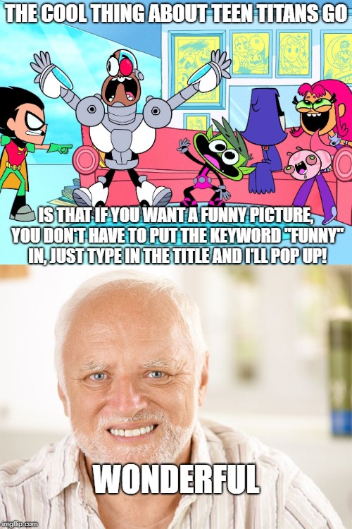 Just Wonderful.... | THE COOL THING ABOUT TEEN TITANS GO; IS THAT IF YOU WANT A FUNNY PICTURE, YOU DON'T HAVE TO PUT THE KEYWORD "FUNNY" IN, JUST TYPE IN THE TITLE AND I'LL POP UP! WONDERFUL | image tagged in teen titans go,akward,dc comics,search,funny | made w/ Imgflip meme maker