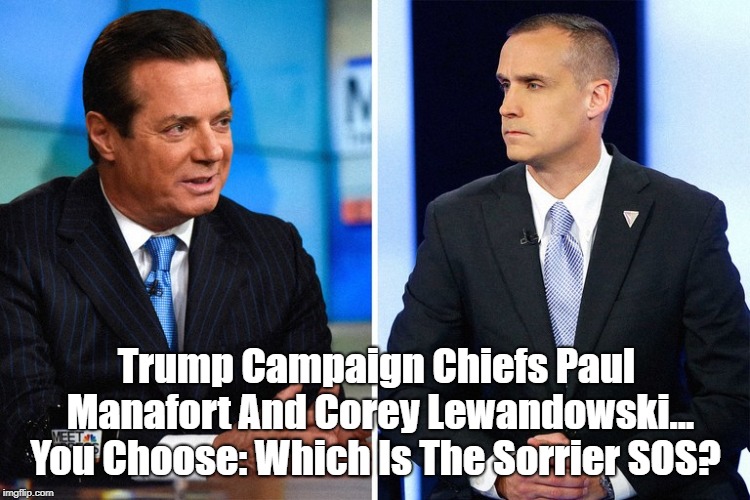 Trump Campaign Chiefs Paul Manafort And Corey Lewandowski... You Choose: Which Is The Sorrier SOS? | made w/ Imgflip meme maker
