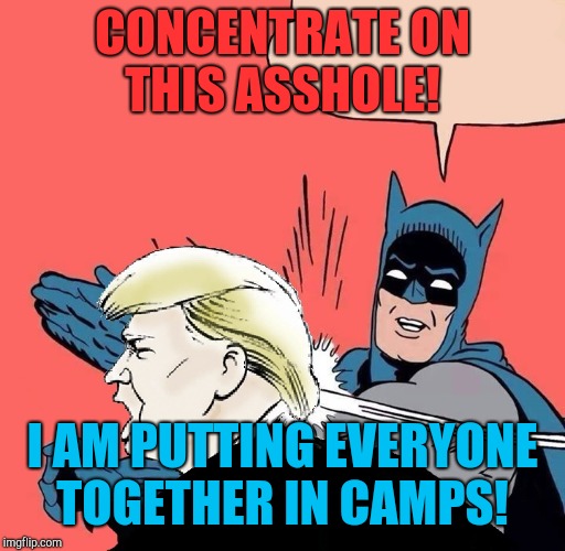 Batman slaps Trump | CONCENTRATE ON THIS ASSHOLE! I AM PUTTING EVERYONE TOGETHER IN CAMPS! | image tagged in batman slaps trump,donald trump,trhtimmy,grammar nazi cat | made w/ Imgflip meme maker