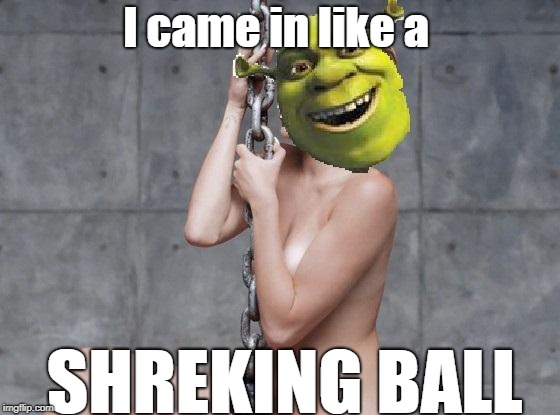 Shrekt by the shreking ball, Shrekt