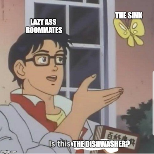 Butterfly man | THE SINK; LAZY ASS ROOMMATES; THE DISHWASHER? | image tagged in butterfly man | made w/ Imgflip meme maker
