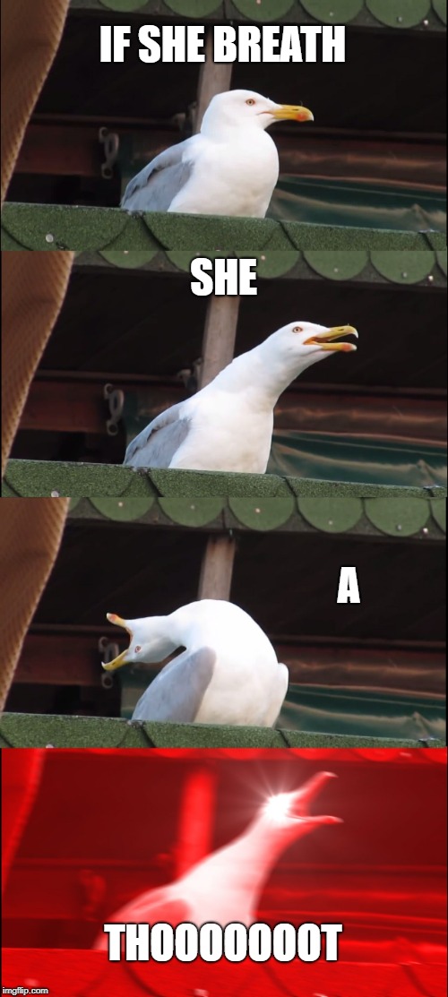 Inhaling Seagull | IF SHE BREATH; SHE; A; THOOOOOOOT | image tagged in memes,inhaling seagull | made w/ Imgflip meme maker