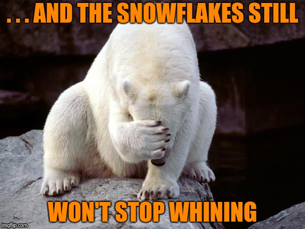 Polar Bear | . . . AND THE SNOWFLAKES STILL WON'T STOP WHINING | image tagged in polar bear | made w/ Imgflip meme maker