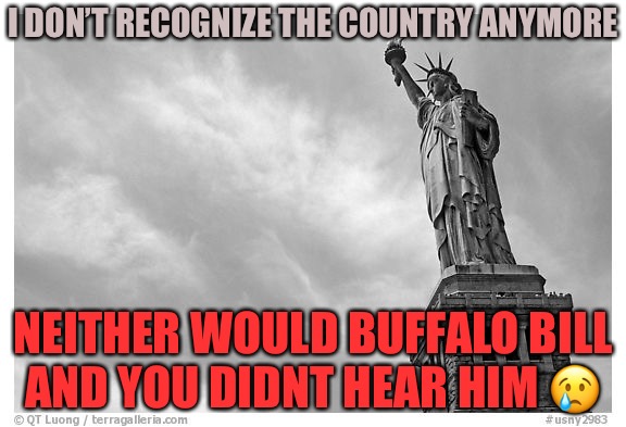Times Goes By | I DON’T RECOGNIZE THE COUNTRY ANYMORE; NEITHER WOULD BUFFALO BILL AND YOU DIDNT HEAR HIM 😢 | image tagged in country,southern pride,red pill,mgtow,statue of liberty,army | made w/ Imgflip meme maker