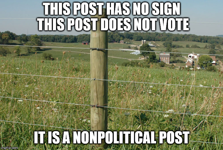 No Political Post | THIS POST HAS NO SIGN THIS POST DOES NOT VOTE; IT IS A NONPOLITICAL POST | image tagged in nonpolitical post | made w/ Imgflip meme maker