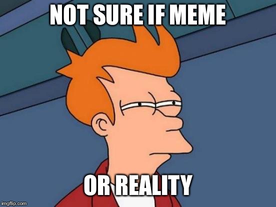 Futurama Fry Meme | NOT SURE IF MEME OR REALITY | image tagged in memes,futurama fry | made w/ Imgflip meme maker